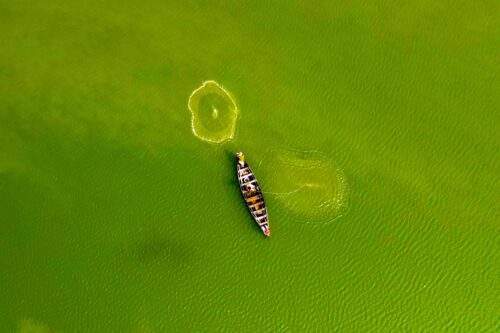 Luchtfoto van een visser in een groene rivier