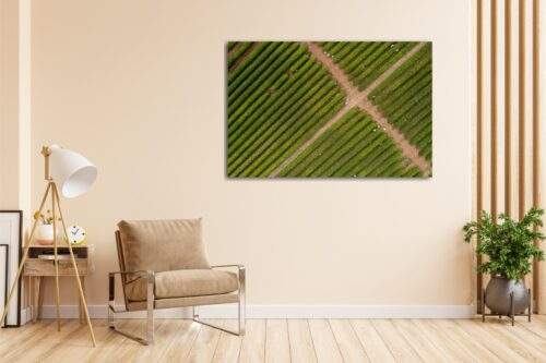 LINES AND CROSS - Afbeelding 2