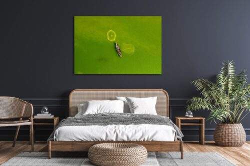 Slaapkamer met foto op plexiglas aan muur boven bed