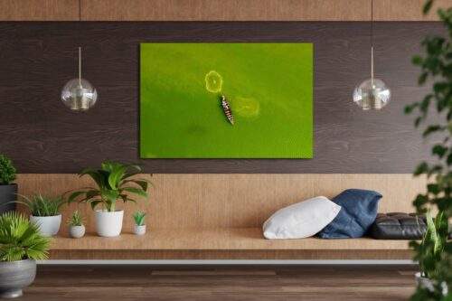 Interieur met wanddecoratie 'River Fishing' op plexiglas aan muur in interieur met veel hout