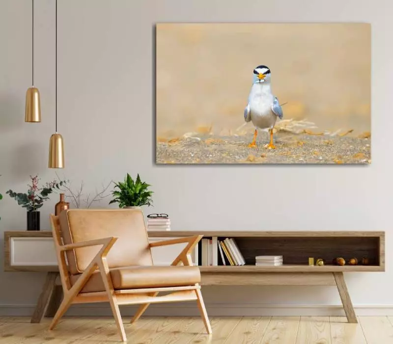 Inspiratie woonkamer met fotokunst met afbeelding van vogel
