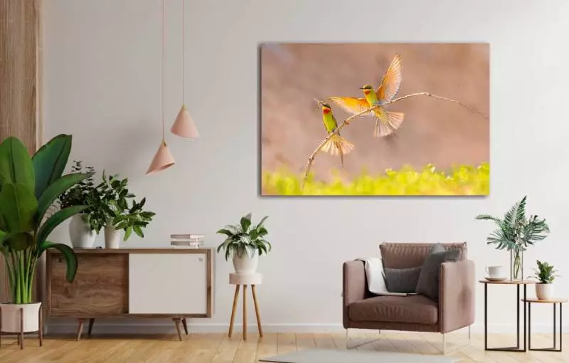 Inspiratie woonkamer met foto van vogels aan de wand