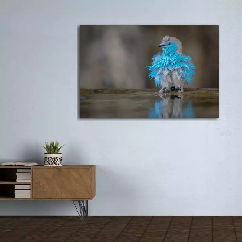 Woonkamer met foto aan de muur met daarop een blauwe vogel