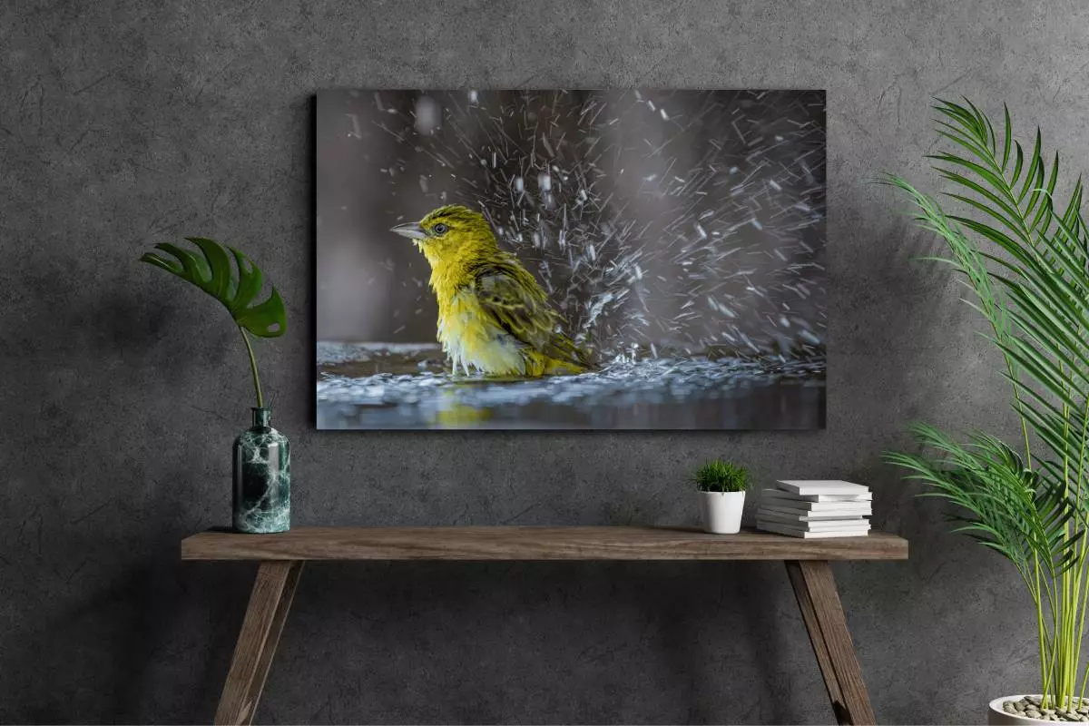 Foto op aluminium met geel vogeltje aan de muur boven wandtafel