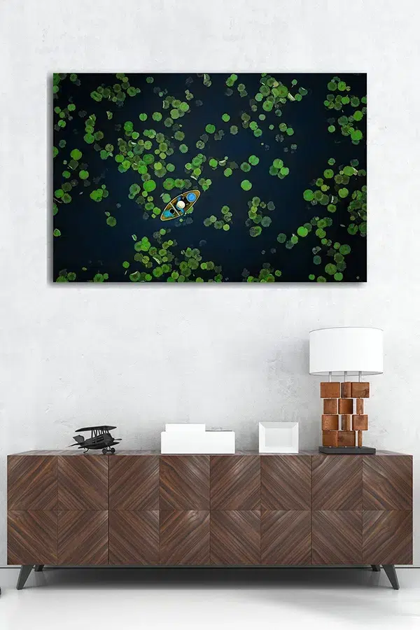 Dressoir met daarboven fotokunst op plexiglas van bootje in een lotusvijver