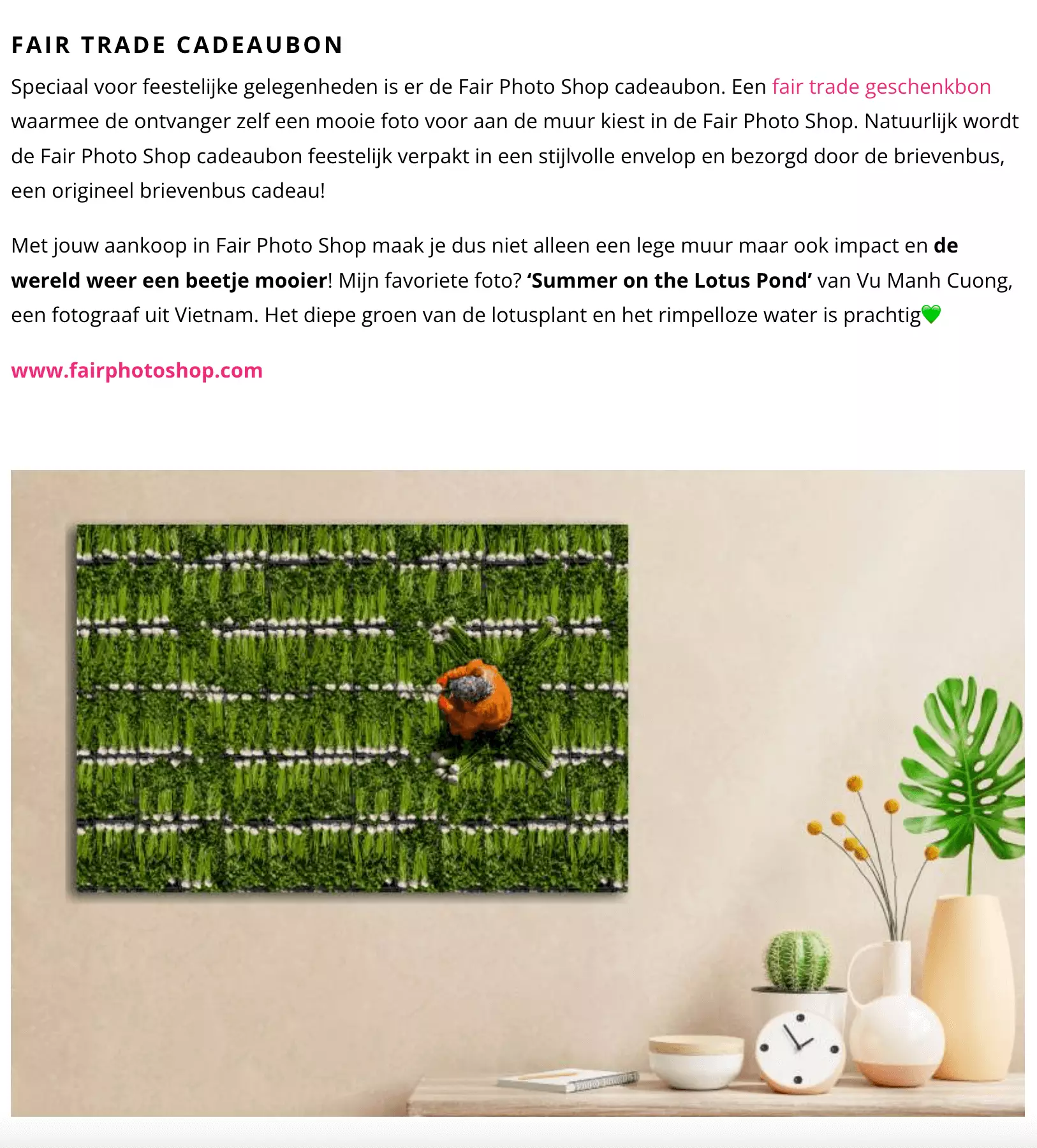 Blog over Fair Photo Shop op Pink Things 4