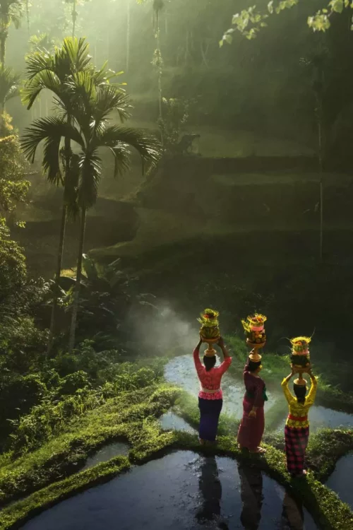 Fotokunst met drie vrouwen in het regenwoud in Bali