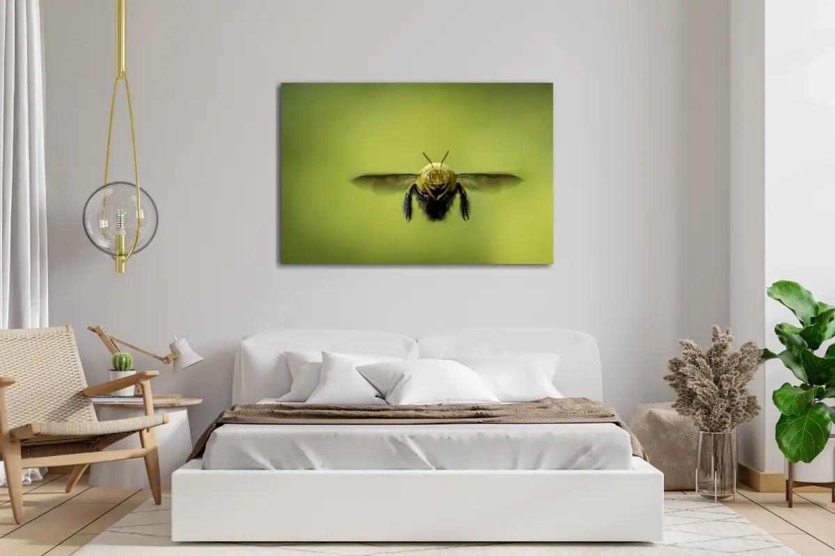 Inspiratie slaapkamer met foto van bij aan de muur boven bed