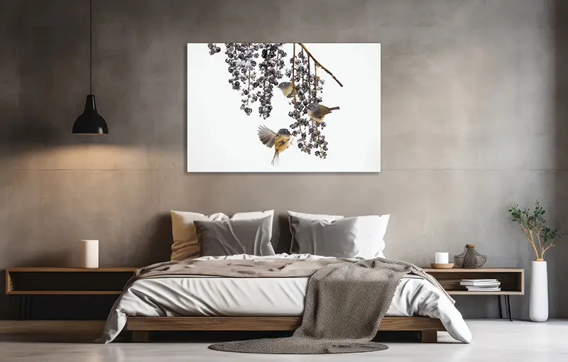 Inspiratie slaapkamer met fotokunst met vogels